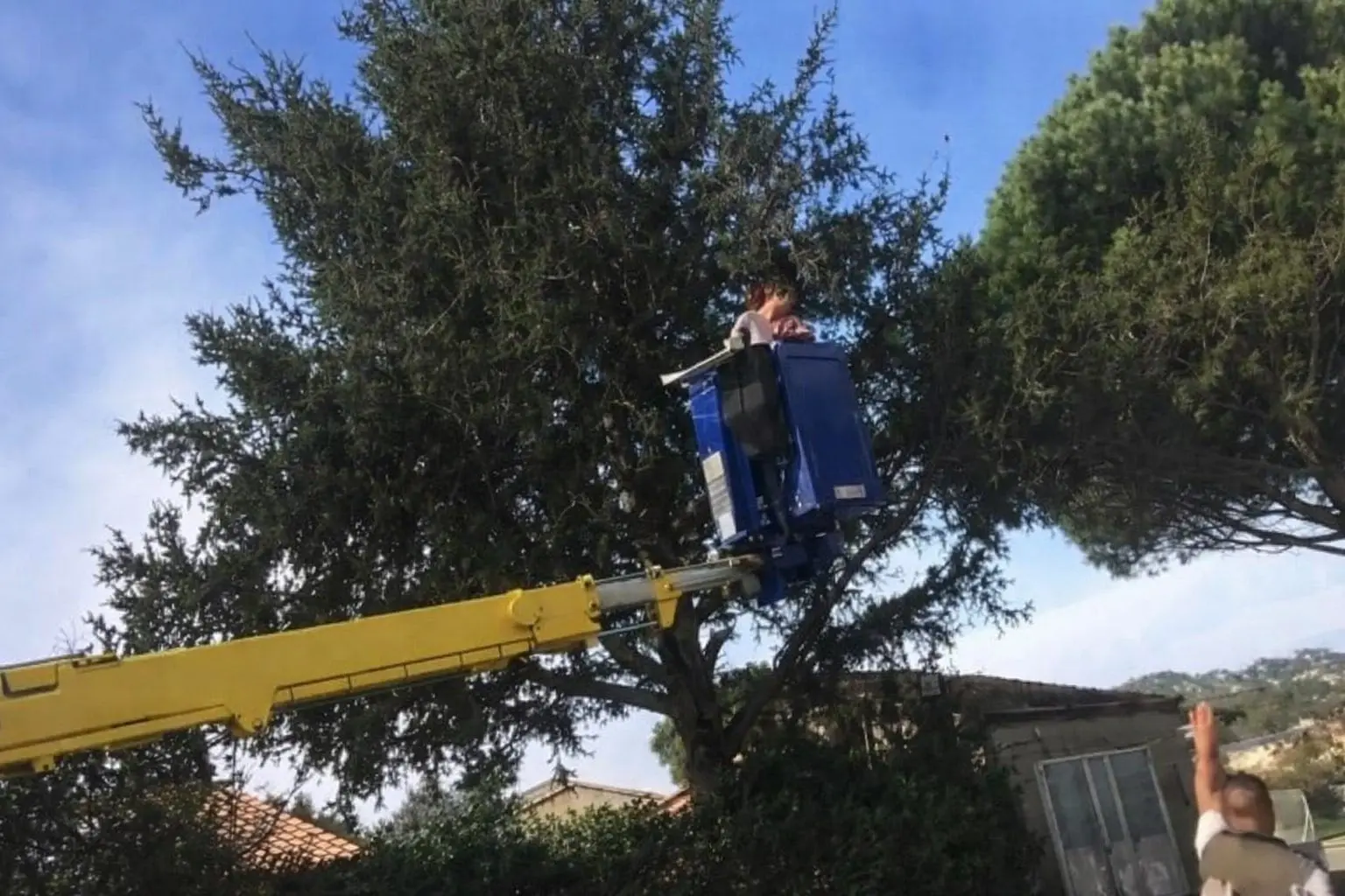 artisan élagueur Mulhouse assuré RC Pro avec devis et déplacement gratuits pour interventions sécurisées