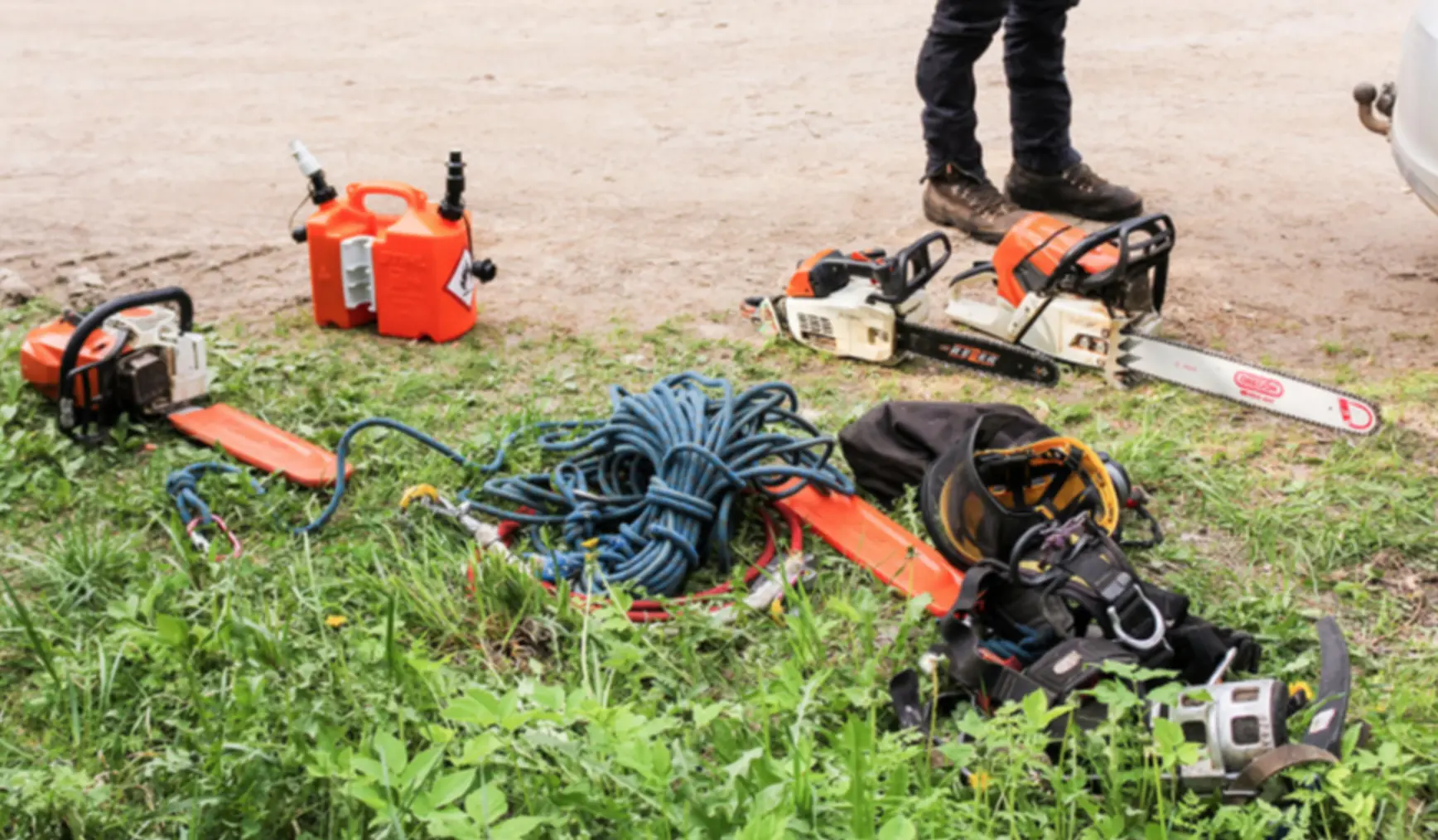 élagage Mulhouse réalisé par un professionnel assuré RC Pro, intervention sécurisée et respectueuse du végétal