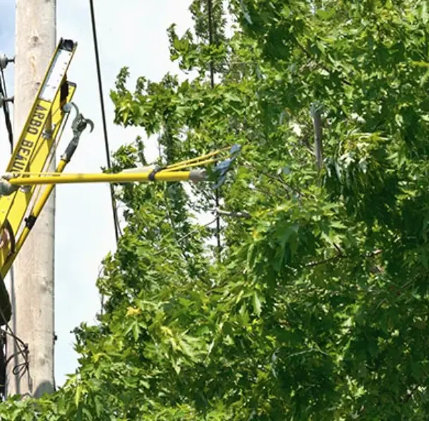 dégagement fils électriques Mulhouse réalisé en zone sensible avec élagage précis près des réseaux