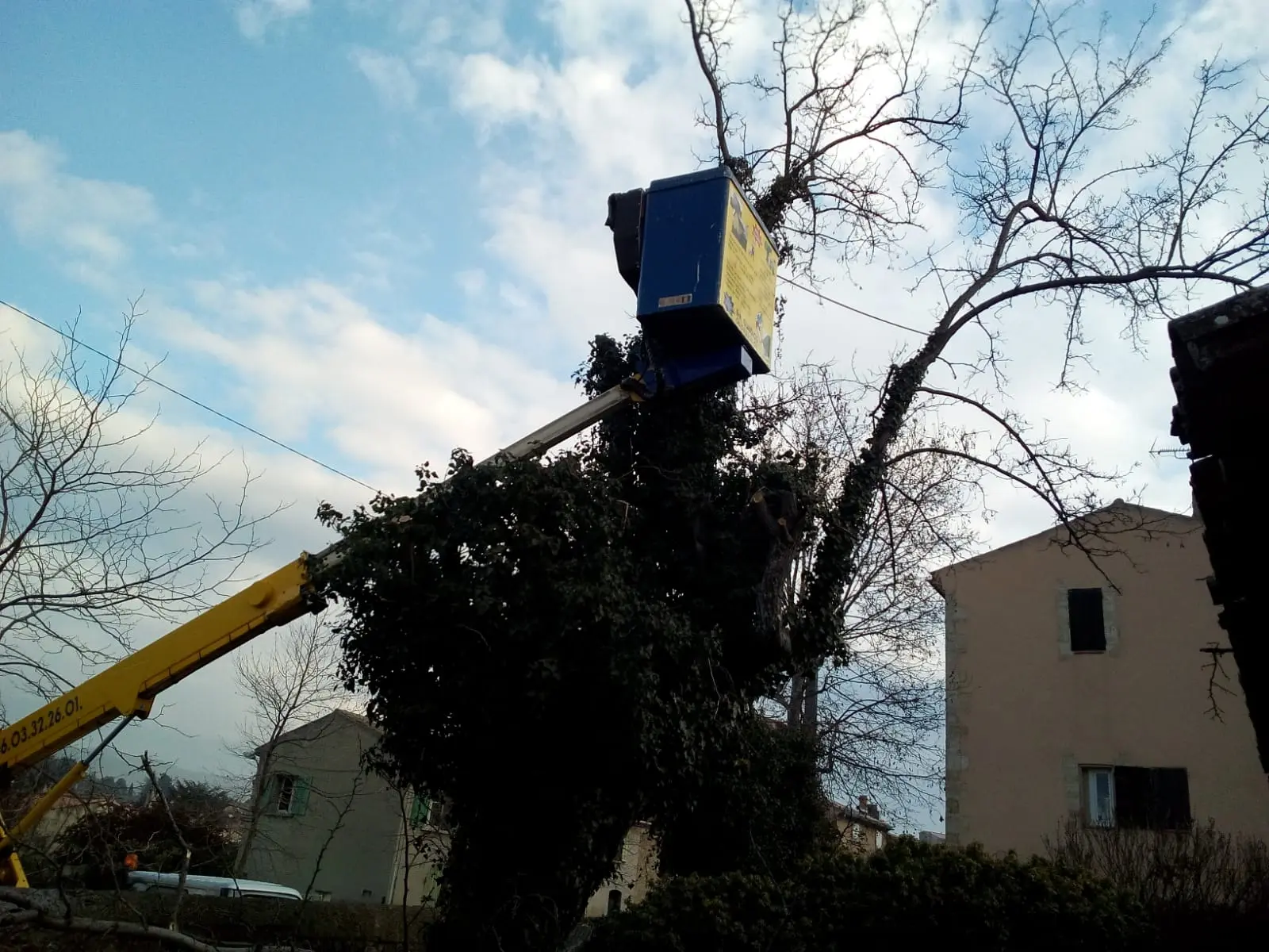 élagueur Mulhouse intervenant en Franche-Comté pour élagage et entretien espaces verts, travaux sur nacelle, interventions sécurisées et assurées RC Pro