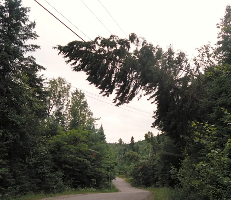 dégagement fils électriques Mulhouse en intervention urgente pour sécuriser rapidement les lignes menacées